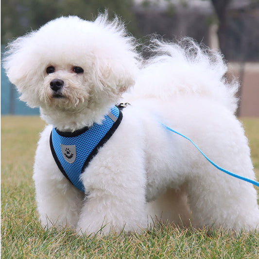 Reflective Breathable Mesh Harness — Suitable for Dogs & Cats