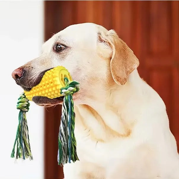 Squeaky Corn Dog Toy – Durable, Fun, and Perfect for Dental Health!