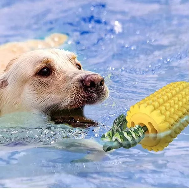 Squeaky Corn Dog Toy – Durable, Fun, and Perfect for Dental Health!