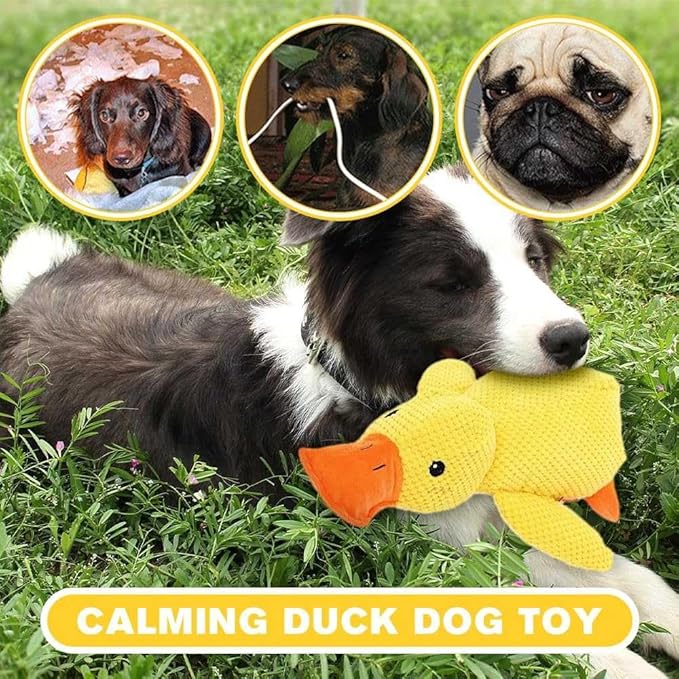 Quack-Quack Duck Dog Toy – Fun, Calming, and Durable!