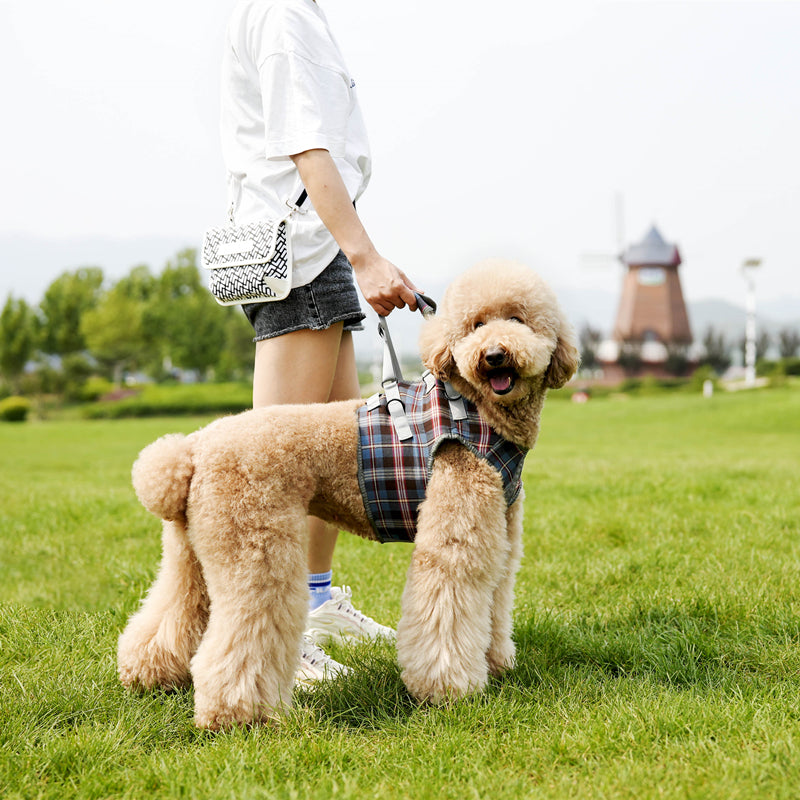 Professional Pet Leg Support Harness