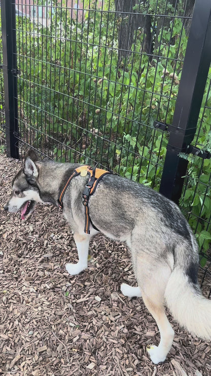 Reflective Adjustable No-Pull Training Harness